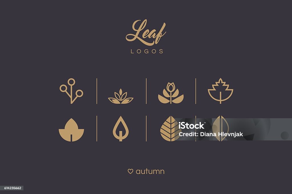 Golden minimal Blatt und Laub Logo Icons Sammlung - Lizenzfrei Blatt - Pflanzenbestandteile Vektorgrafik