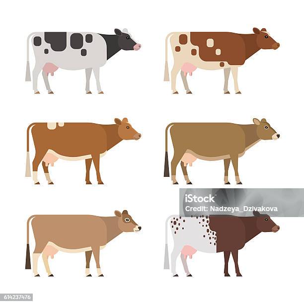 Vetores de Vacas Leiteiras e mais imagens de Fêmea de mamífero - Fêmea de mamífero, Vector, Ilustração e Pintura