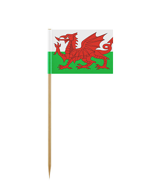 pequena bandeira de gales em um palito de dente - welsh flag flag welsh culture all european flags - fotografias e filmes do acervo