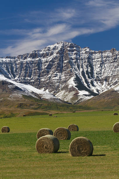 istock Canadian farm field and mountains 614240000