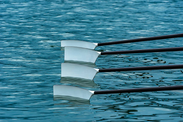 istock Close up of four men's rowing oars 614240980