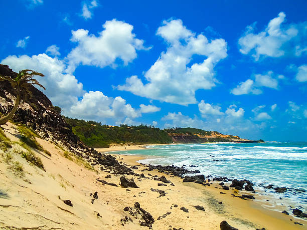 istock Pipa Beach in Brazil 614241014