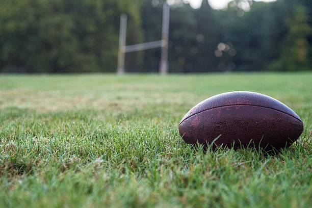 istock football in the grass 614241502