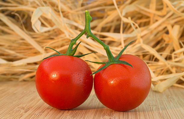 わらの中のトマト - bruschetta tomato bread rotting ストックフォトと画像