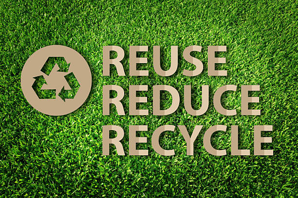 istock Paper cut of eco on green grass 614242228
