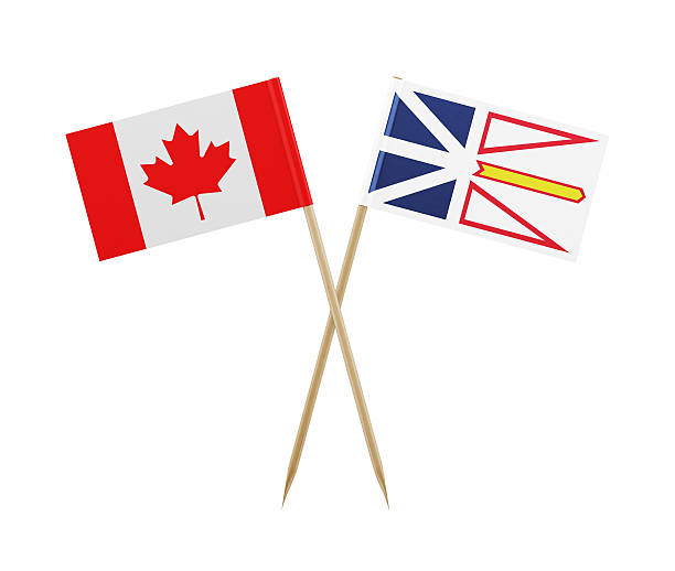 istock Tiny Canadian and Newfoundland  Labrador Flag on a Toothpick 614243264