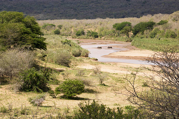 istock African Landscape and the two Rhinos 614244532
