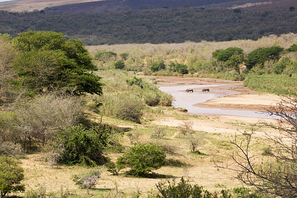 istock African Landscape of Dreams 614245306