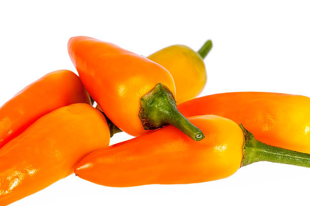 istock Composition of colorful decoration peppers isolated on white background 614247648