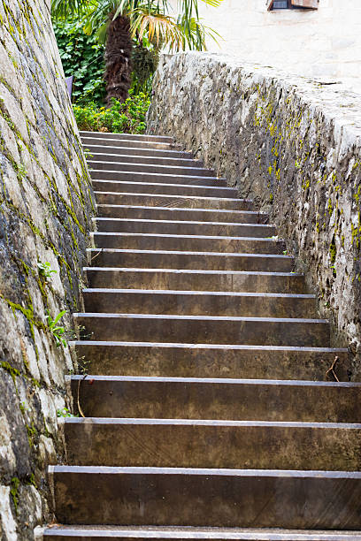 istock curved stone staircase partly covered with black moss 614247948