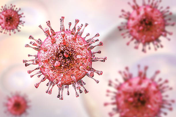 wirus cytomegalii, wirus dna z rodziny herpesviridae - cmv zdjęcia i obrazy z banku zdjęć