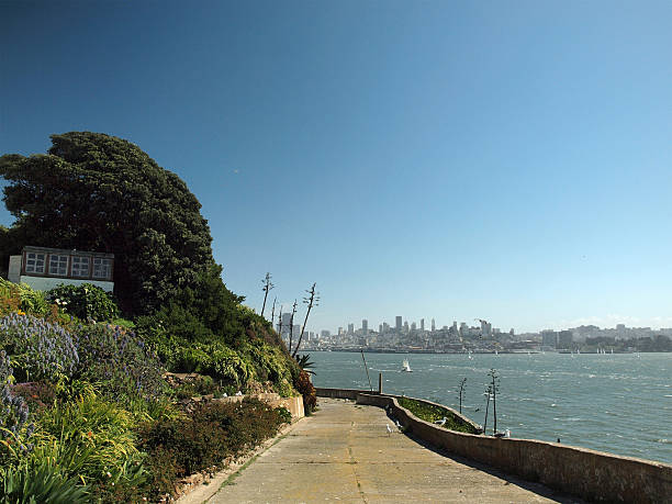 istock Western Gulls on path down to the coast of Alcatraz 614250986