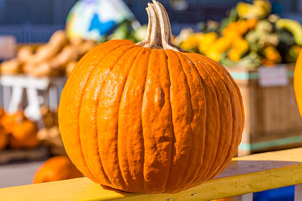 istock Orange pumpkin on fence rail 614304150