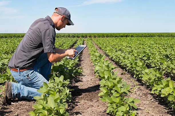 Photo of Agronomist Using a Tablet in an Agricultural Field