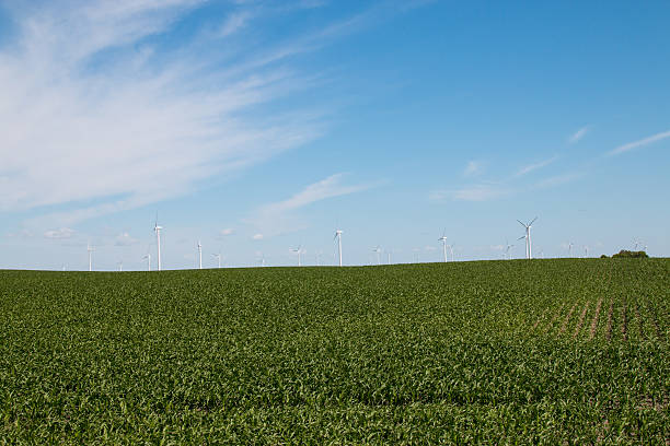 niebieska sky turbina wiatrowa - illinois farm wind wind power zdjęcia i obrazy z banku zdjęć