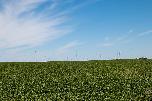 niebieska sky turbina wiatrowa - illinois farm wind wind power zdjęcia i obrazy z banku zdjęć