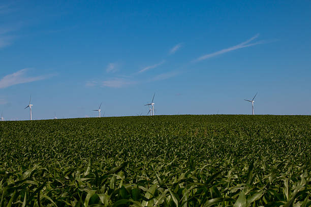 niebieska sky turbina wiatrowa - illinois farm wind wind power zdjęcia i obrazy z banku zdjęć