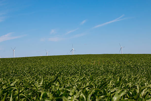 niebieska sky turbina wiatrowa - illinois farm wind wind power zdjęcia i obrazy z banku zdjęć