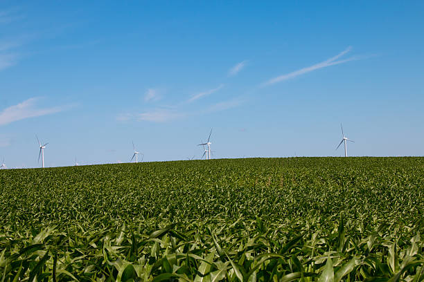 niebieska sky turbina wiatrowa - illinois farm wind wind power zdjęcia i obrazy z banku zdjęć