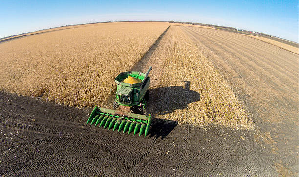 captador de maíz con combinación - genetic modification corn corn crop genetic research fotografías e imágenes de stock