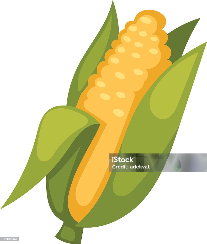 Ngô Cobs Vector Minh Họa Hình minh họa Sẵn có - Tải xuống Hình ảnh ...