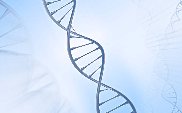 istock Close DNA Double helix, metal with white and blue background 614311830