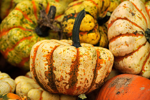 istock Pumpkin at Halloween market 614314374