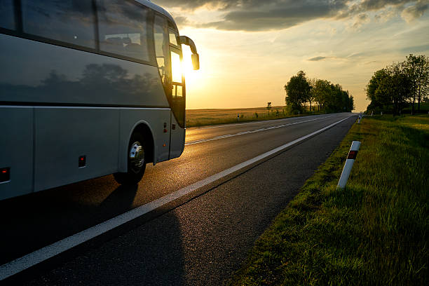 white bus driving along the asphalt road at sunset. - otobüs stok fotoğraflar ve resimler