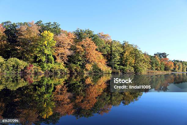 Fall Foliage On The Charles Stock Photo - Download Image Now - Newton - Massachusetts, Massachusetts, Charles River