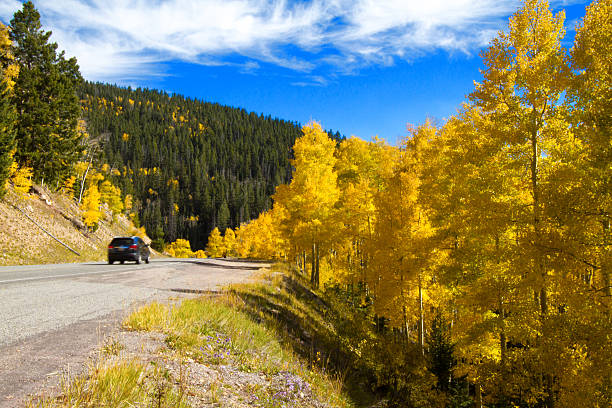 istock Autumn Scene: Mountain Road Lined with Yellow Aspens, Traveling Car 614317238