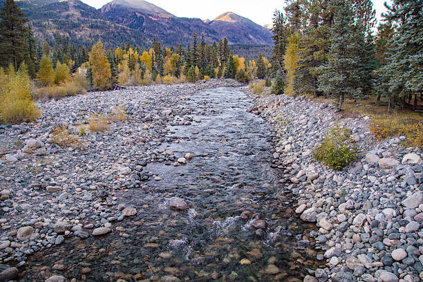 istock Creek to Vallecito Lake 614317518