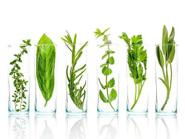 istock Close Up bottles of fresh aromatic herbs . 614317764