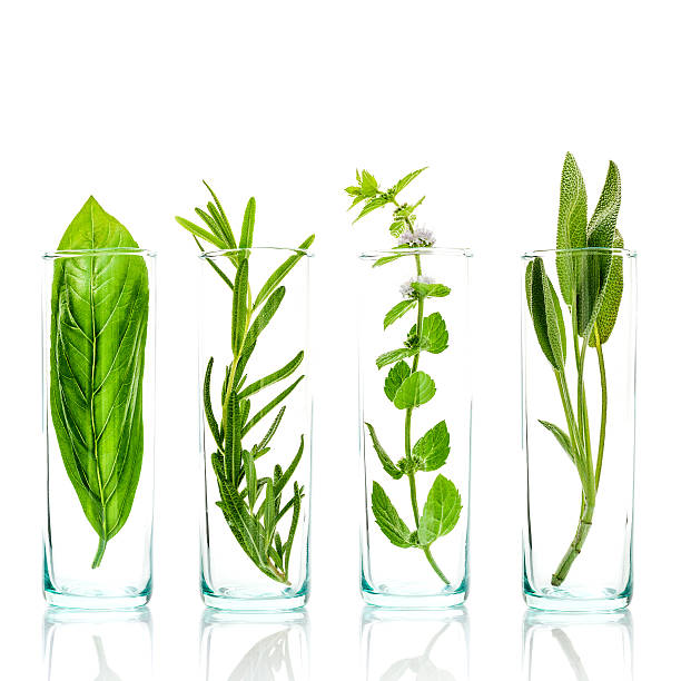 istock Close Up bottles of fresh aromatic herbs . 614317788