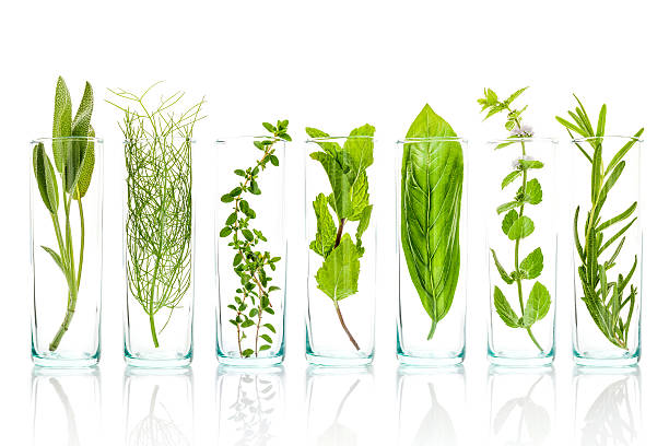 istock Close Up bottles of fresh aromatic herbs . 614317826