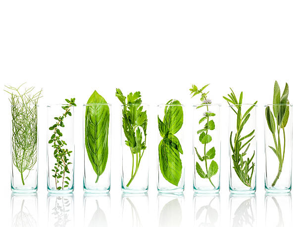 istock Close Up bottles of essential oils with fresh herbs . 614318064