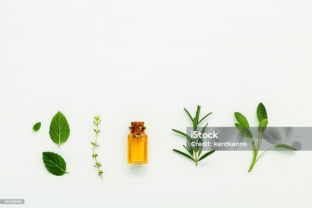 Bottle of essential oil with  fresh herbal sage, rosemary, thyme Bottle of essential oil with  fresh herbal sage, rosemary, thyme and peppermint setup with flat lay on white wooden table. Aromatherapy Stock Photo