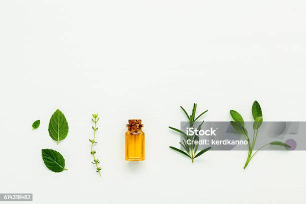 Bottle Of Essential Oil With Fresh Herbal Sage Rosemary Thyme Stock Photo - Download Image Now