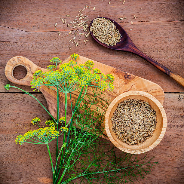 gros plan sur la branche en fleurs de fenouil et de graines de fenouil séchées. - fennel photos et images de collection