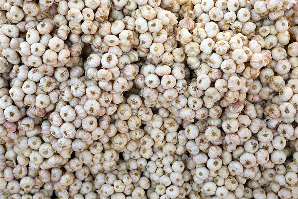 istock garlic on market stand 614319990
