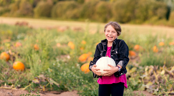 Young female child holding a pumpking in a pumpkin patch