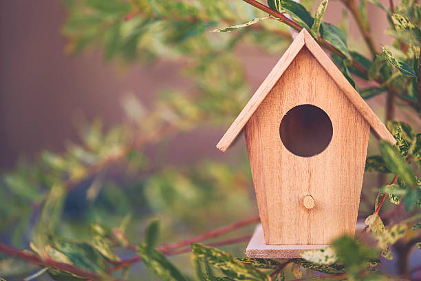 decoración de pajarera en miniatura colgada en ramas de sauce - birdhouse bird house ornamental garden fotografías e imágenes de stock