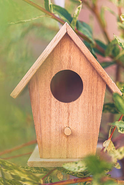 istock Miniature birdhouse decoration hanging on branches of willow tree 614322672