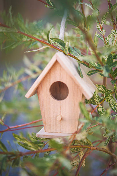 istock Miniature birdhouse decoration hanging on branches of willow tree 614322714