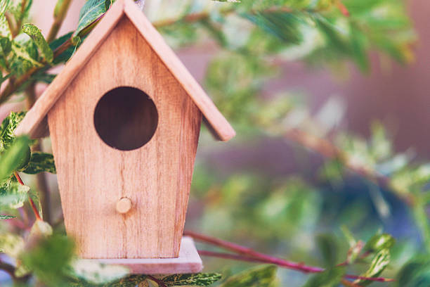 istock Miniature birdhouse decoration hanging on branches of willow tree 614322994