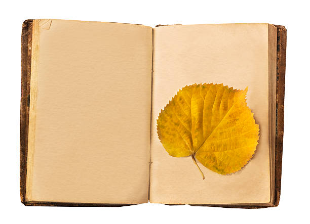 istock Open old book with yellow autumn leaf, isolated on white 614323698