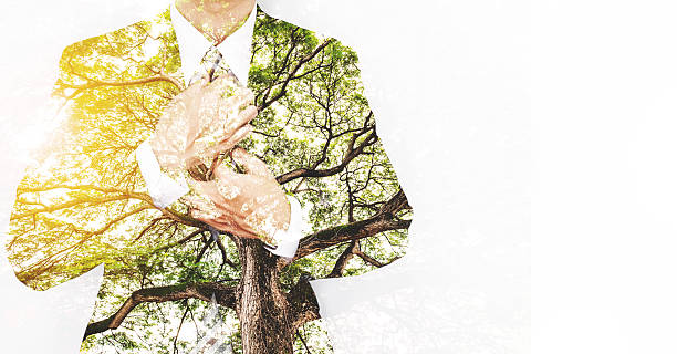 istock Double Exposure Businessman in Suit with Big Tree 614324252