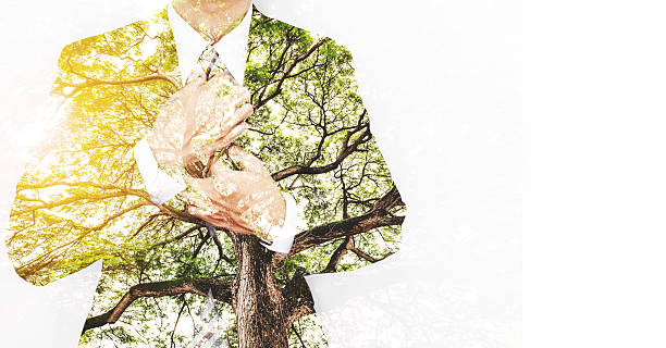 Double Exposure Businessman in Suit with Big Tree Double Exposure Businessman in Suit with Big Tree with Bright Sunlight and copy space sun exposure stock pictures, royalty-free photos & images