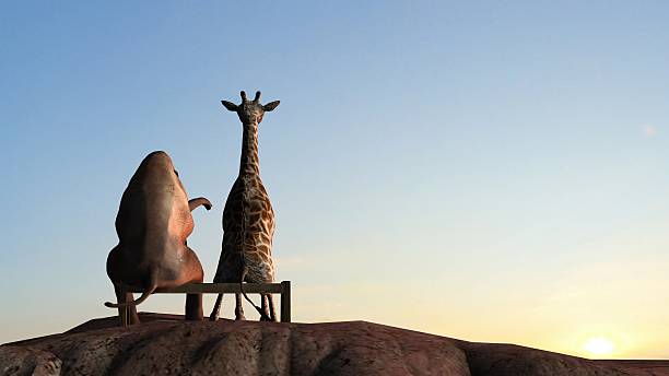 istock Elephant and Giraffe  on a mountain top at sunset 614331184