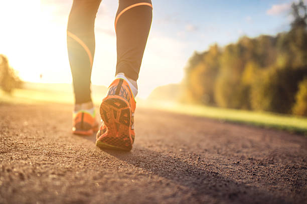 istock Preparing to jogging an outdoor trail 614332068