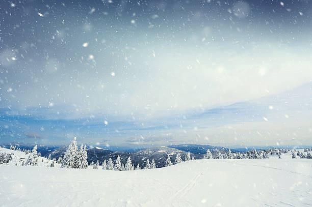 tempesta di neve - winter landscape mountain snow foto e immagini stock